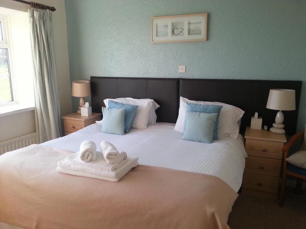 Ty Dderw Country Inn مويلفريه الغرفة الصورة